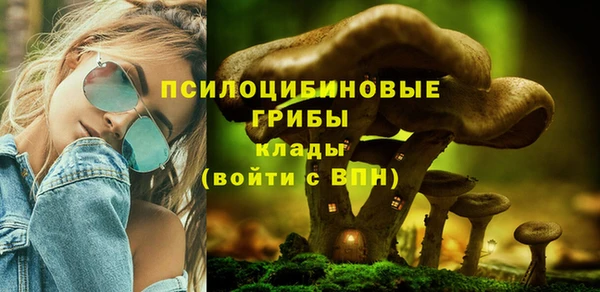 a pvp Аркадак